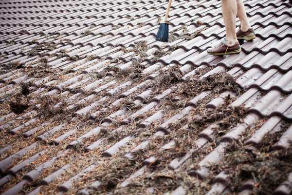 How to Find the Best Roof Cleaning Company